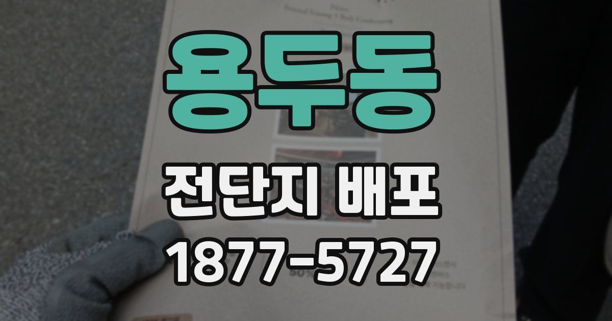 용두동 전단지 배포