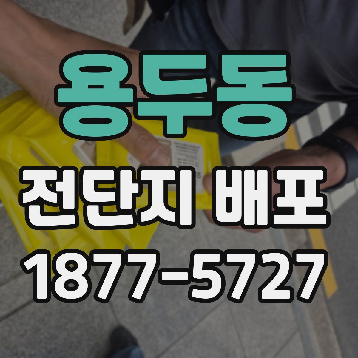 용두동 전단지 배포