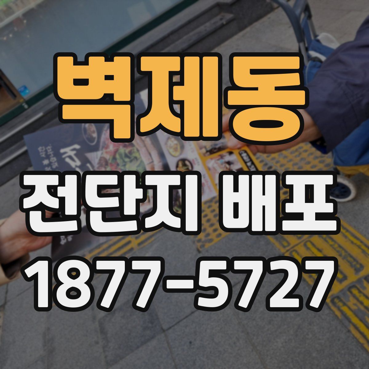 벽제동 전단지 배포