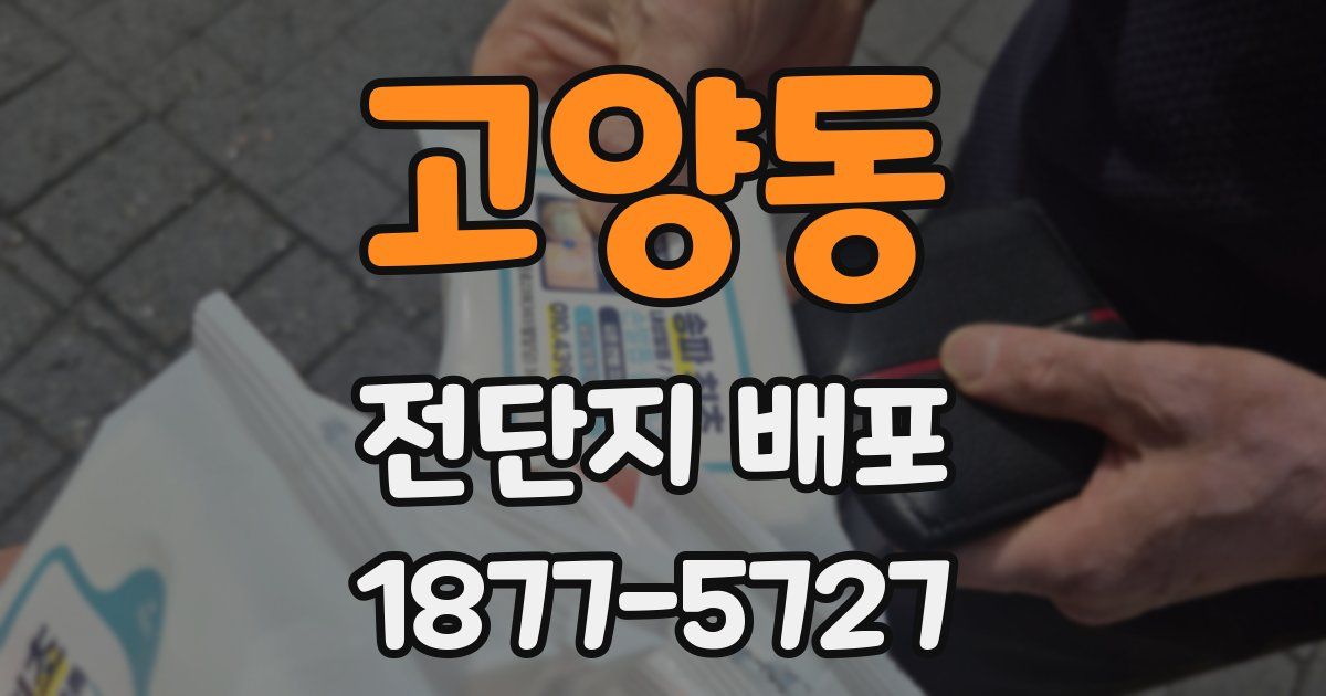 고양동 전단지 배포