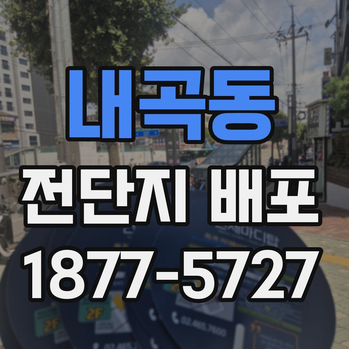 내곡동 전단지 배포