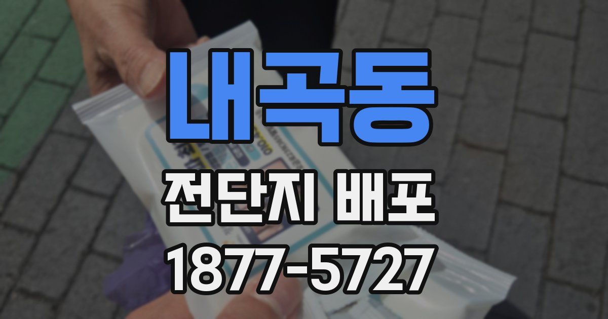내곡동 전단지 배포