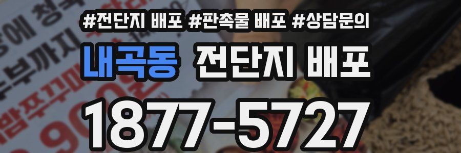 내곡동 전단지 배포