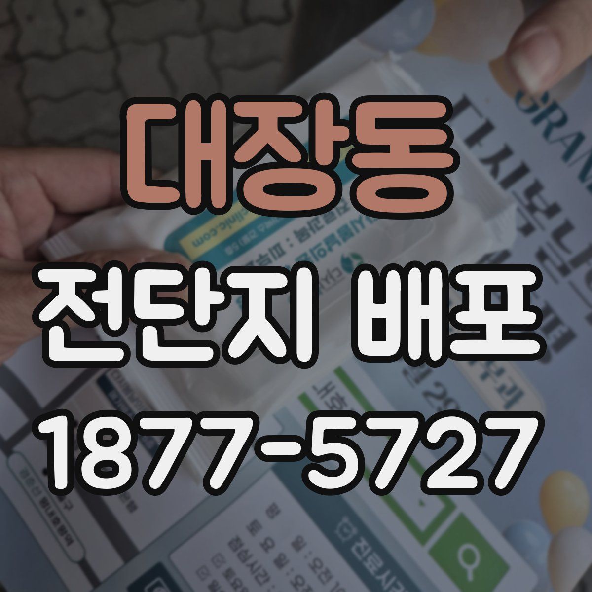 대장동 전단지 배포
