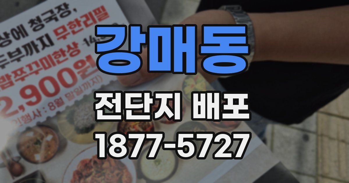 강매동 전단지 배포