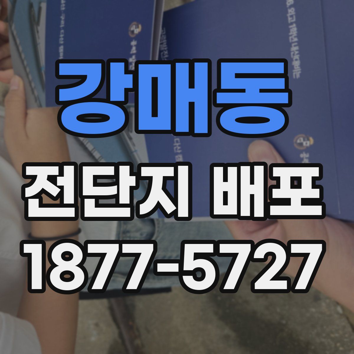 강매동 전단지 배포