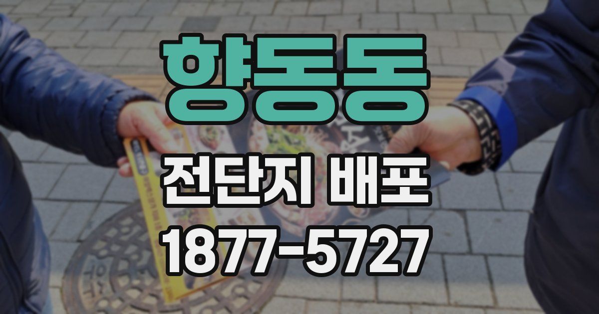 향동동 전단지 배포