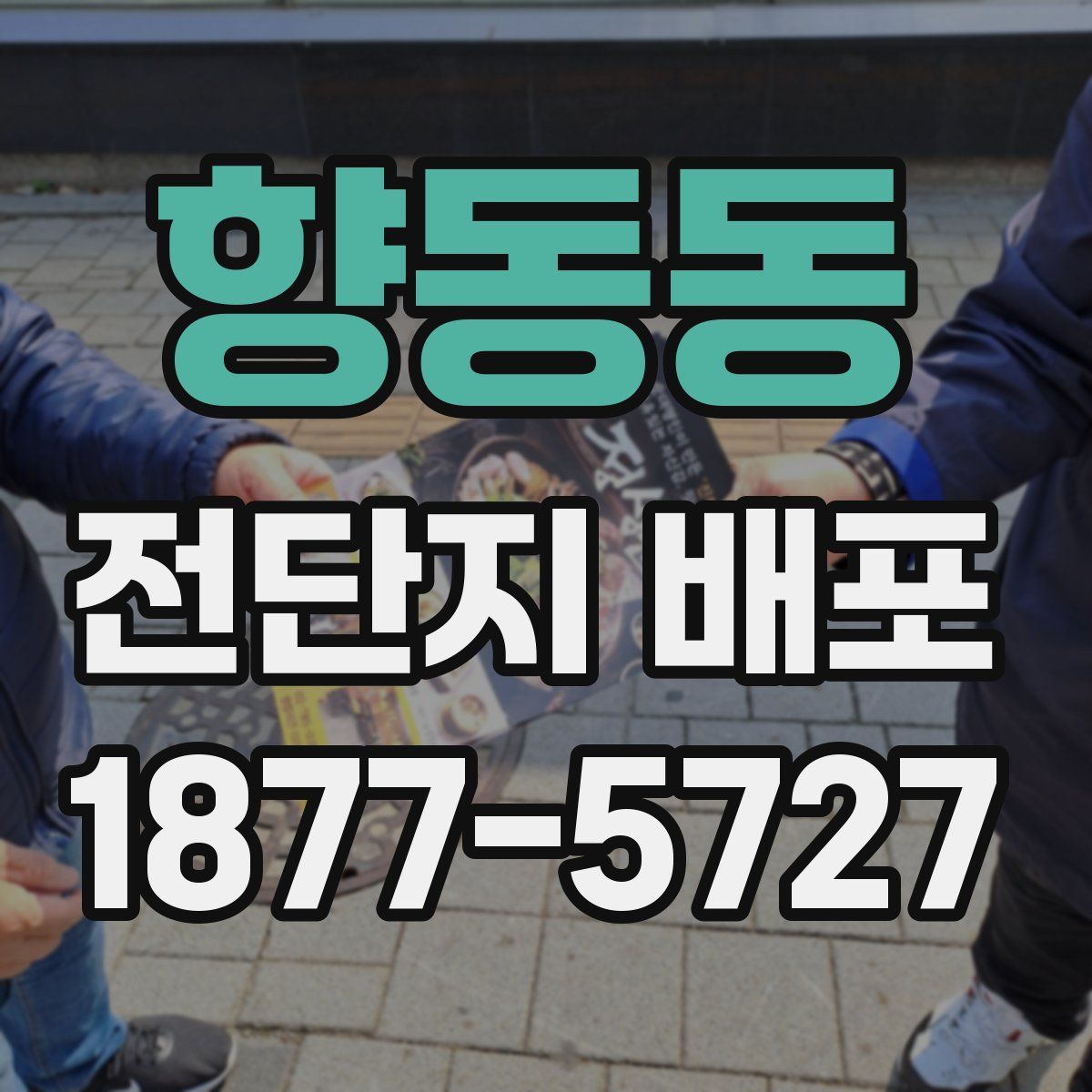 향동동 전단지 배포