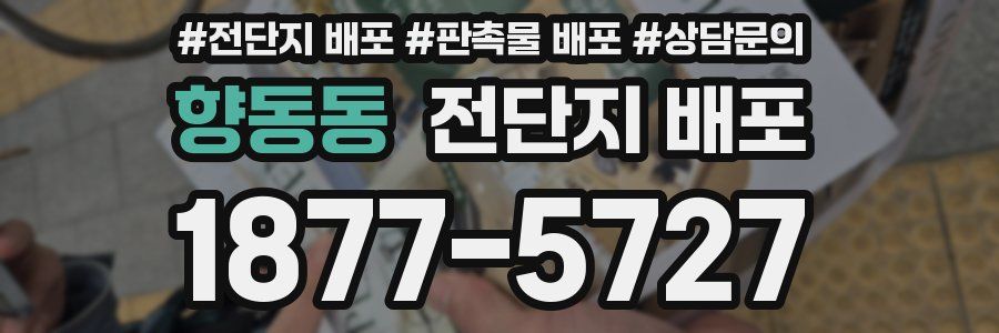 향동동 전단지 배포