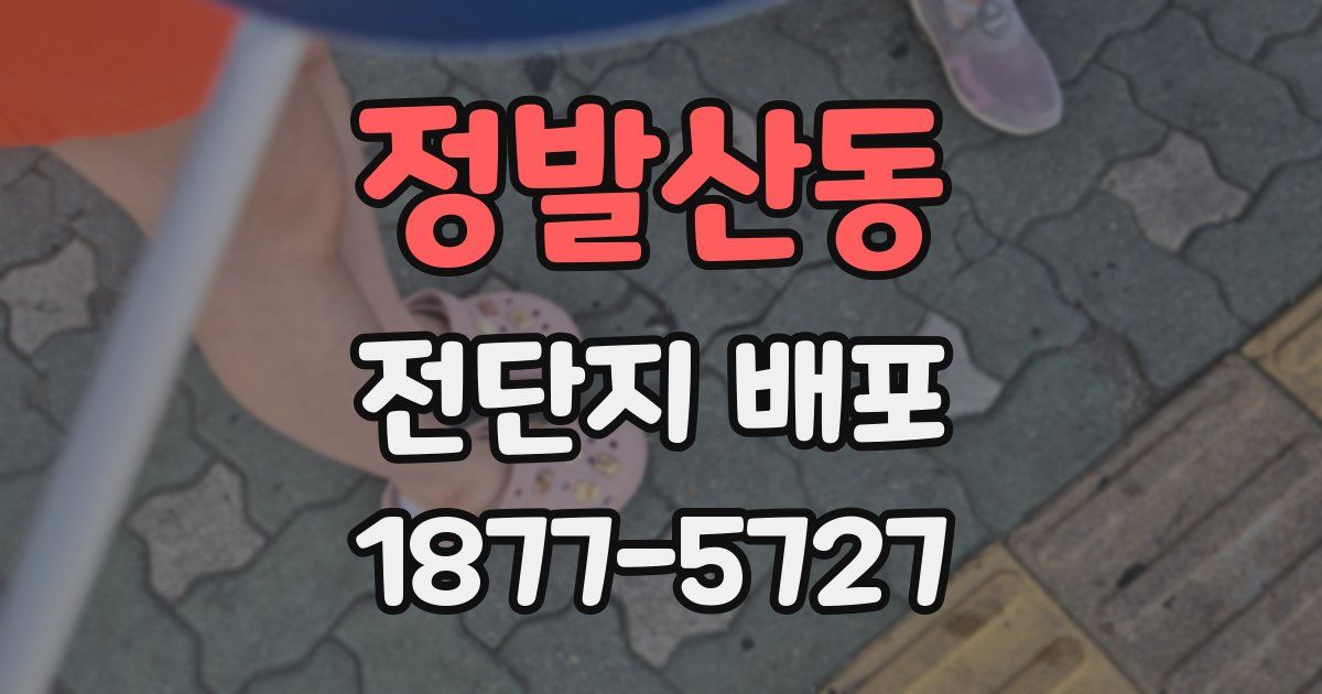 정발산동 전단지 배포