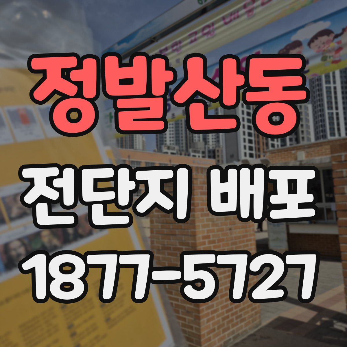 정발산동 전단지 배포