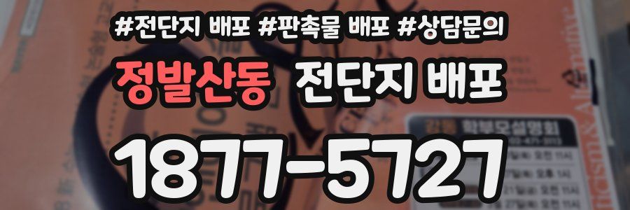 정발산동 전단지 배포
