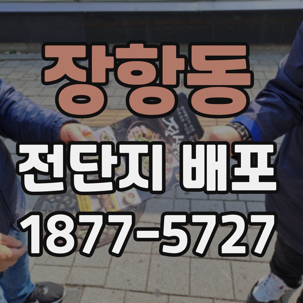 장항동 전단지 배포