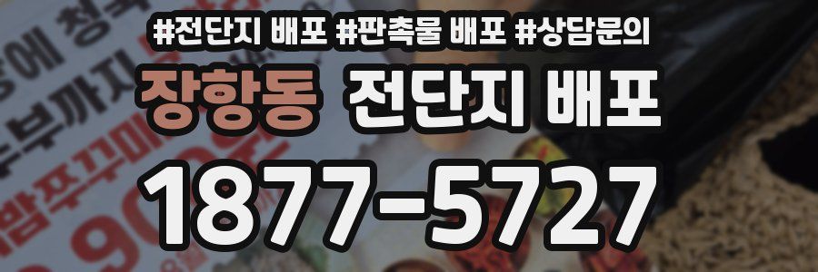 장항동 전단지 배포
