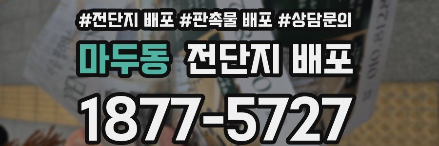 마두동 전단지 배포