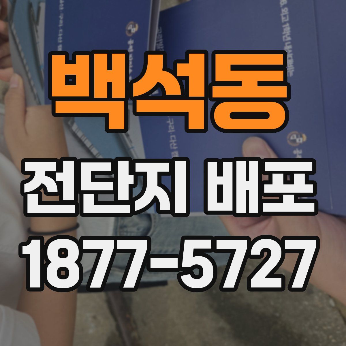 백석동 전단지 배포