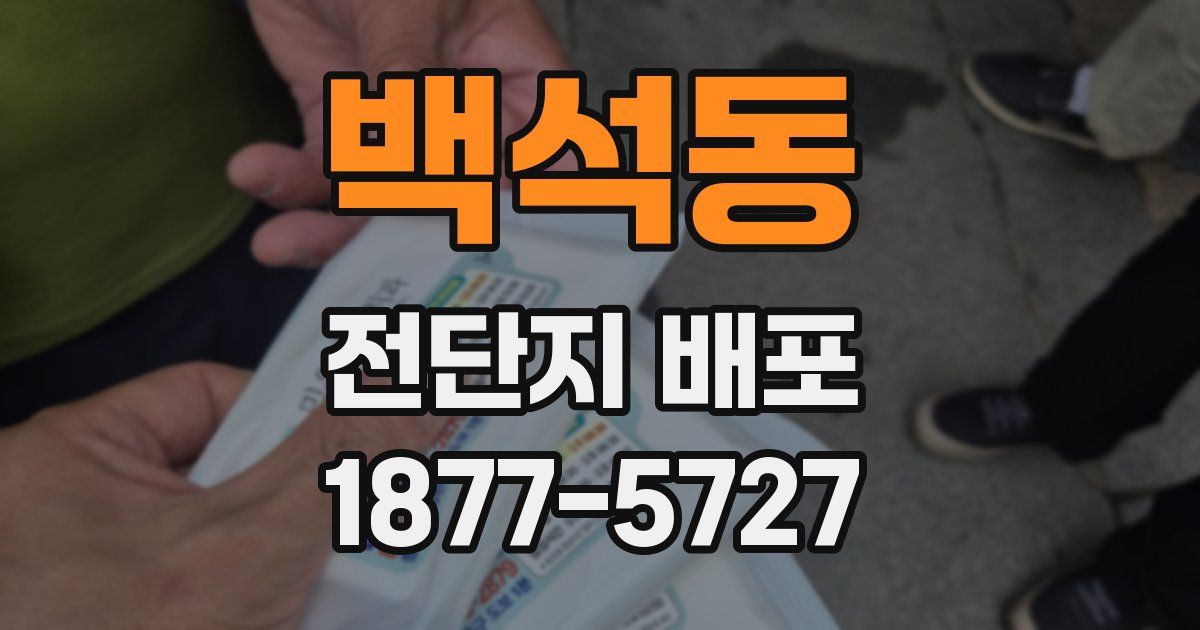 백석동 전단지 배포
