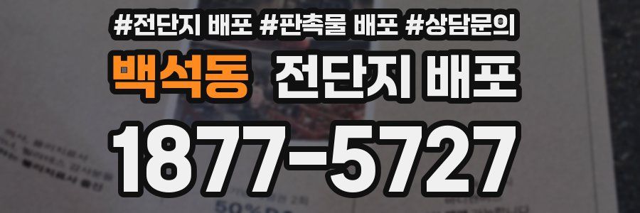 백석동 전단지 배포