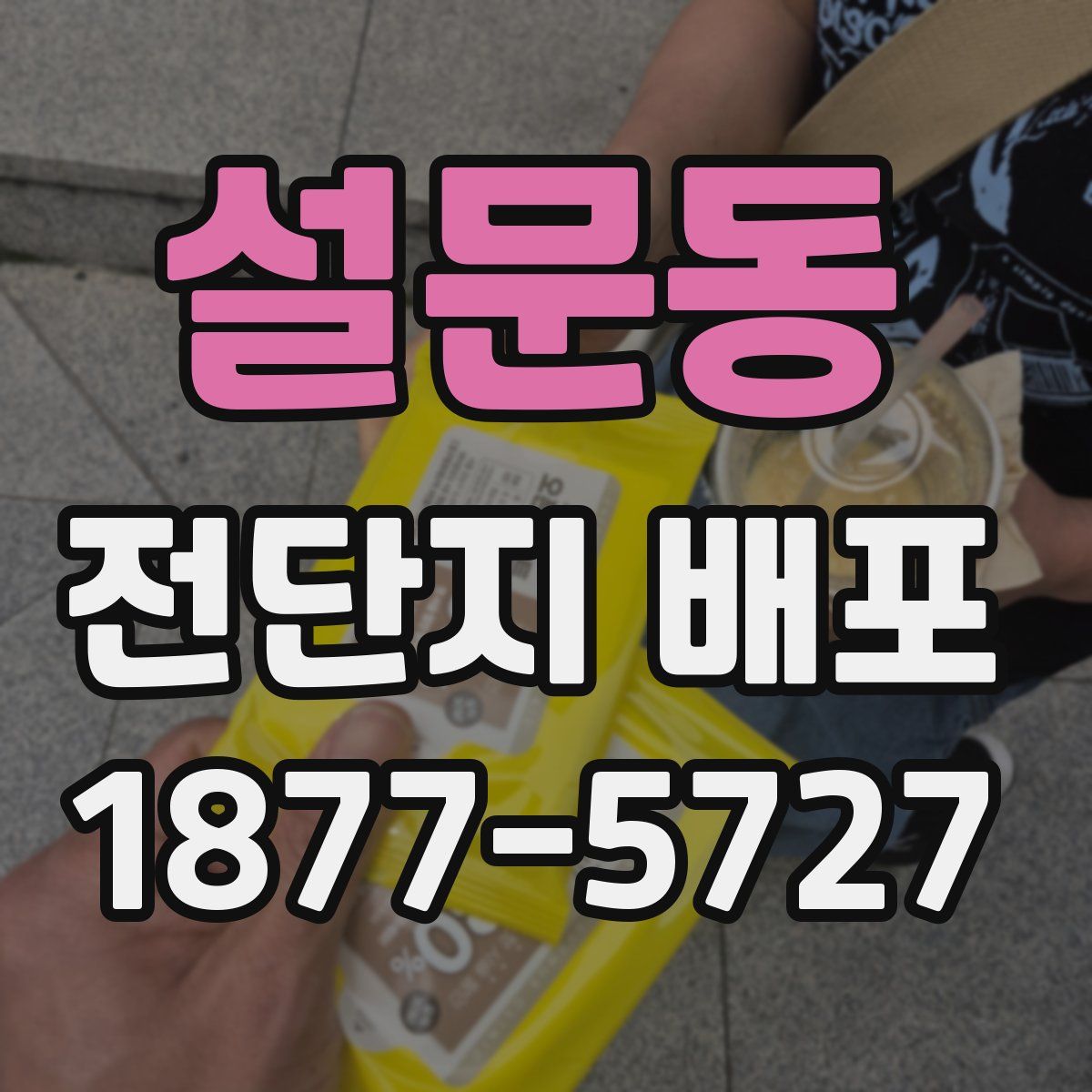 설문동 전단지 배포