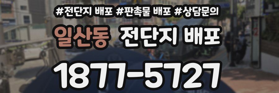 일산동 전단지 배포