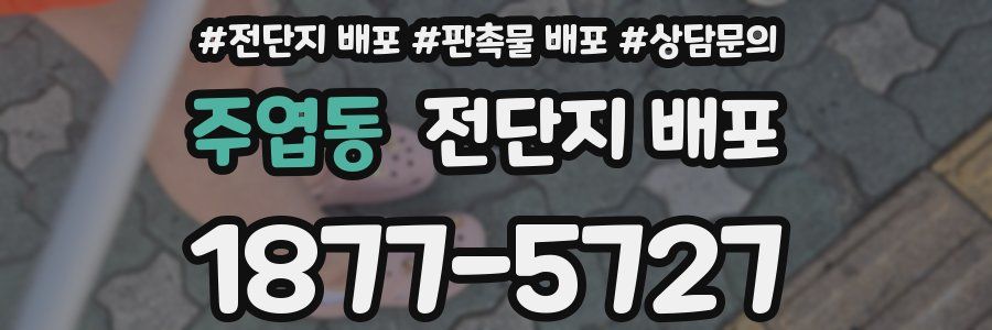 주엽동 전단지 배포