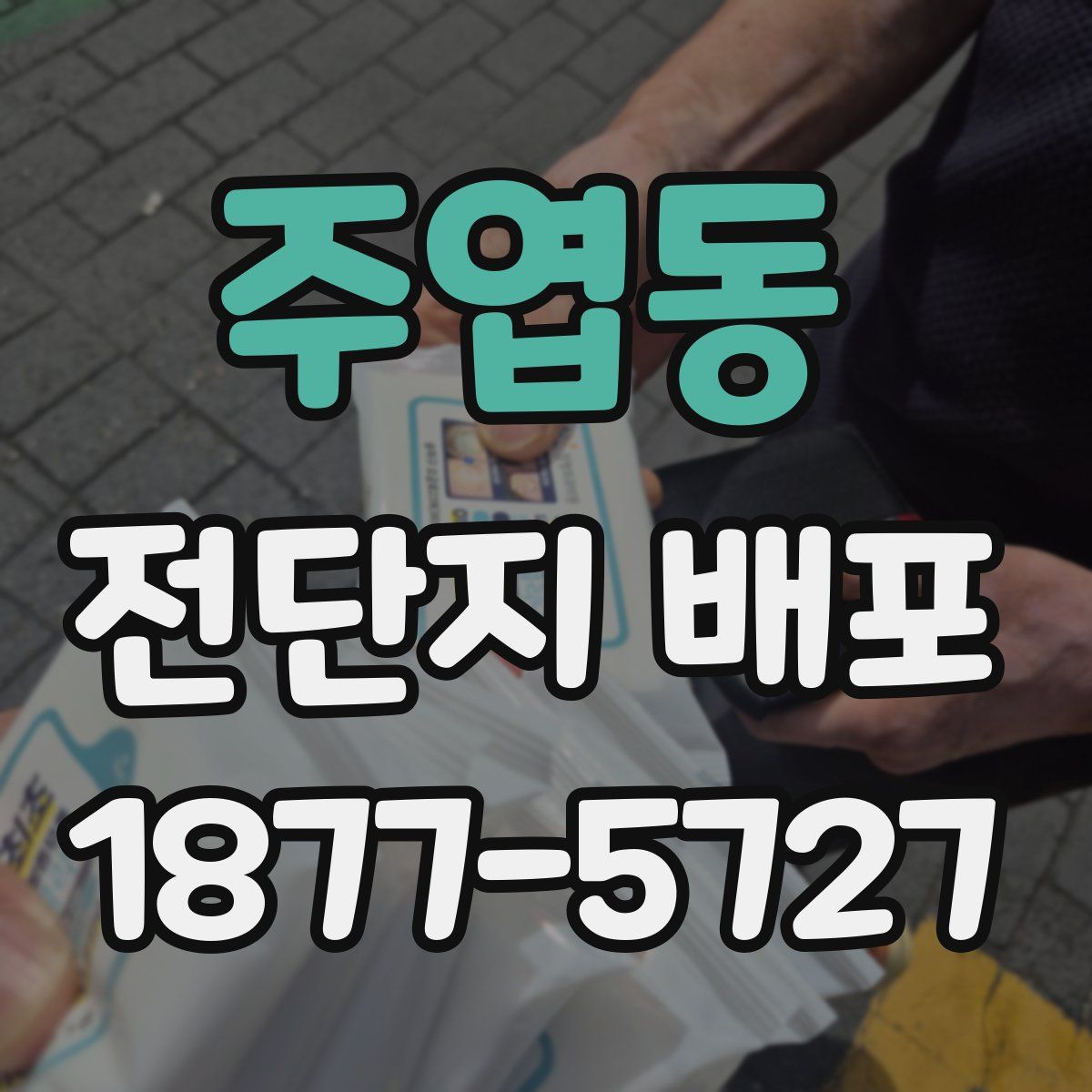 주엽동 전단지 배포
