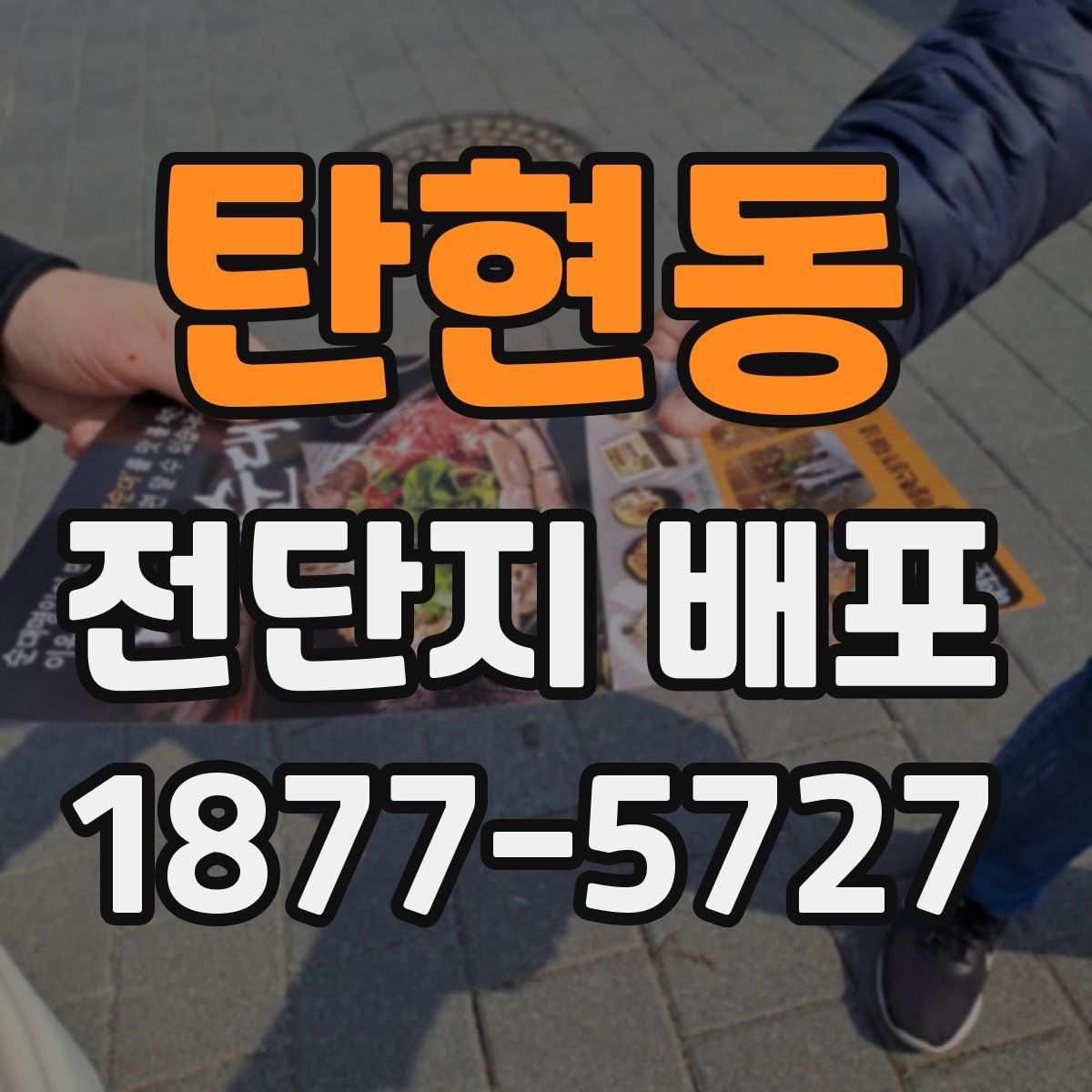 탄현동 전단지 배포
