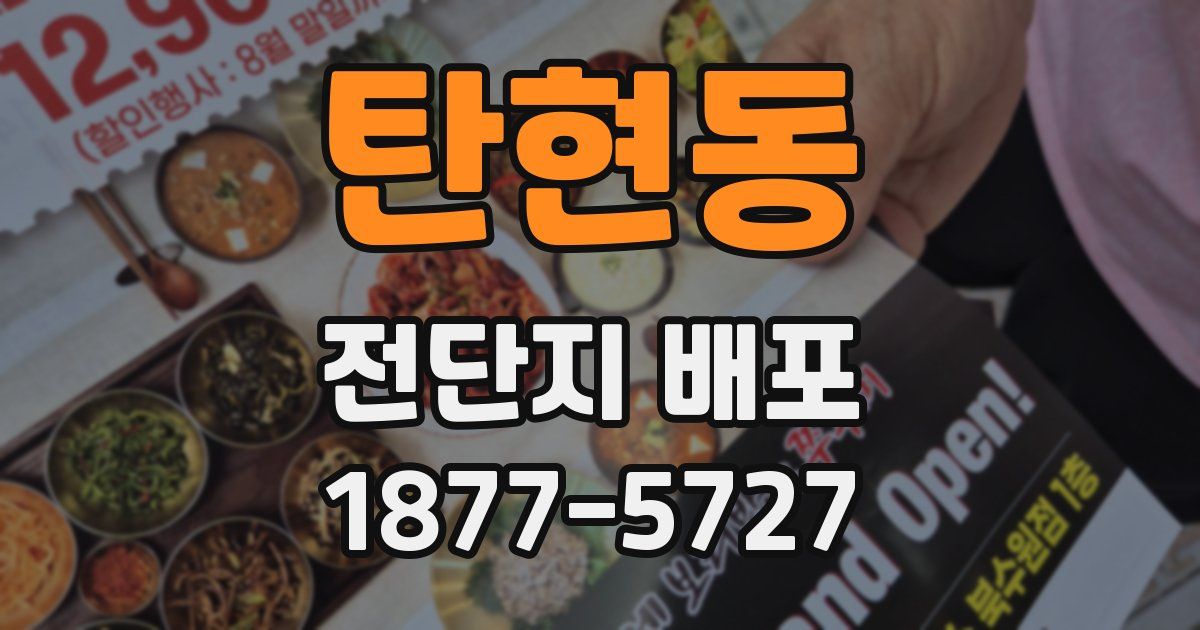 탄현동 전단지 배포