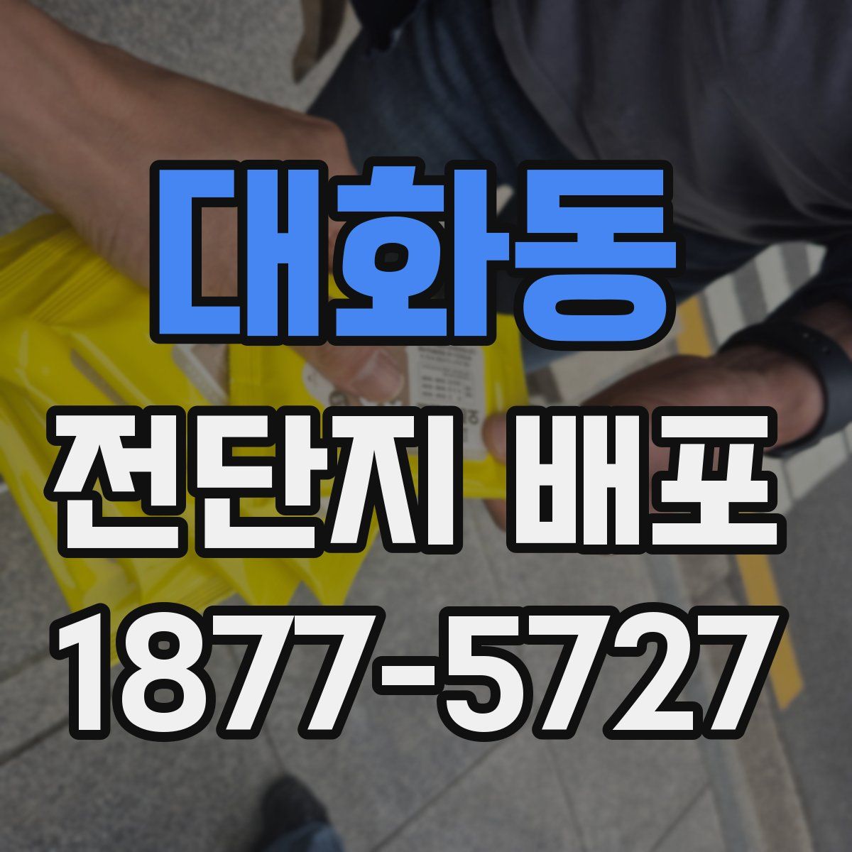 대화동 전단지 배포