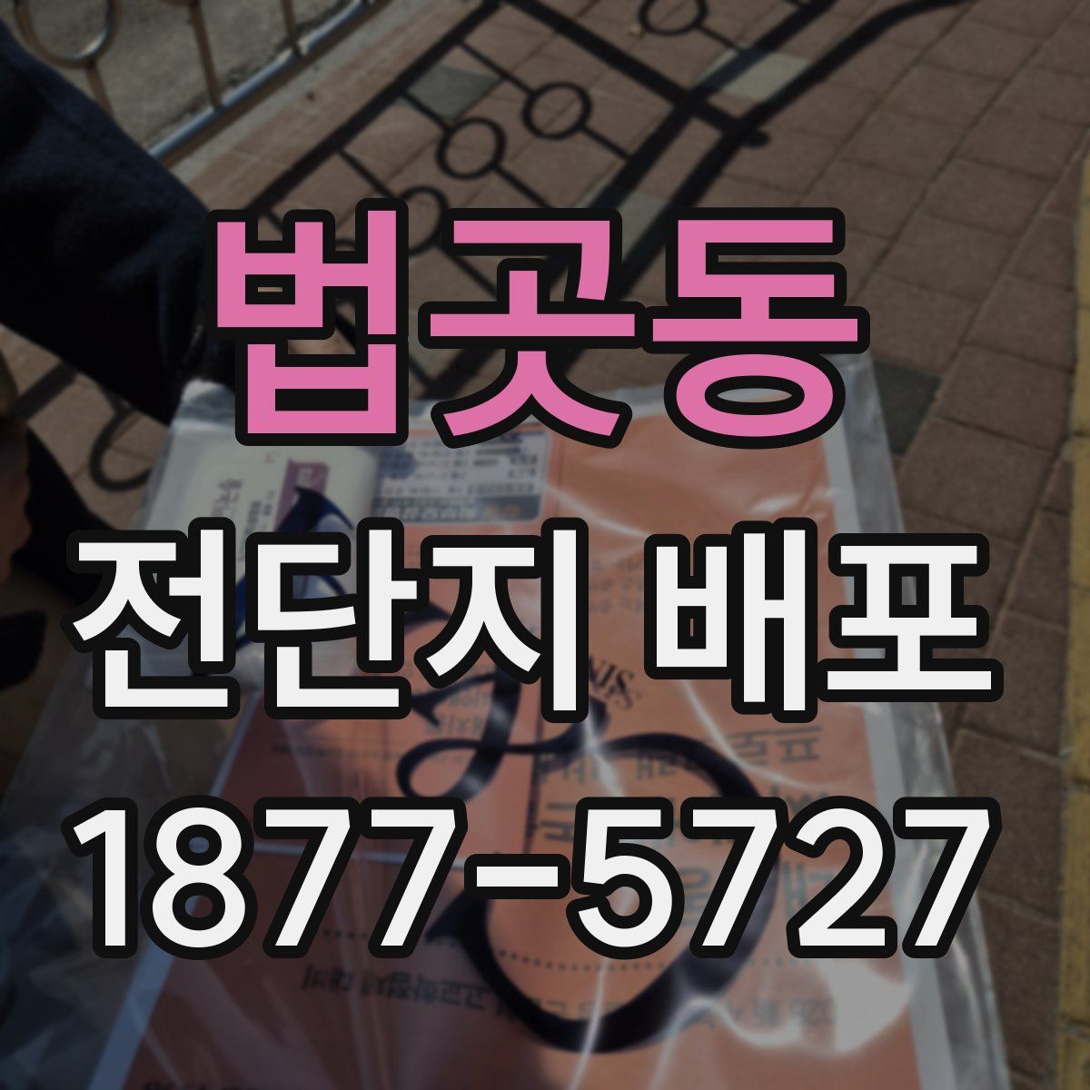 법곳동 전단지 배포