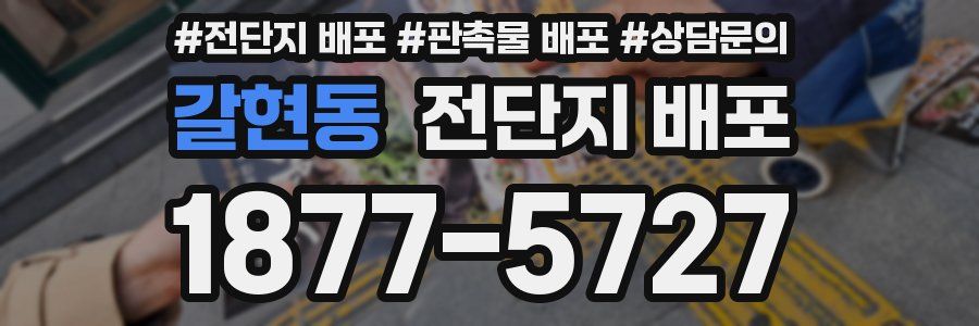 갈현동 전단지 배포