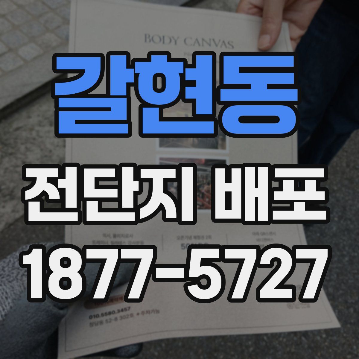 갈현동 전단지 배포