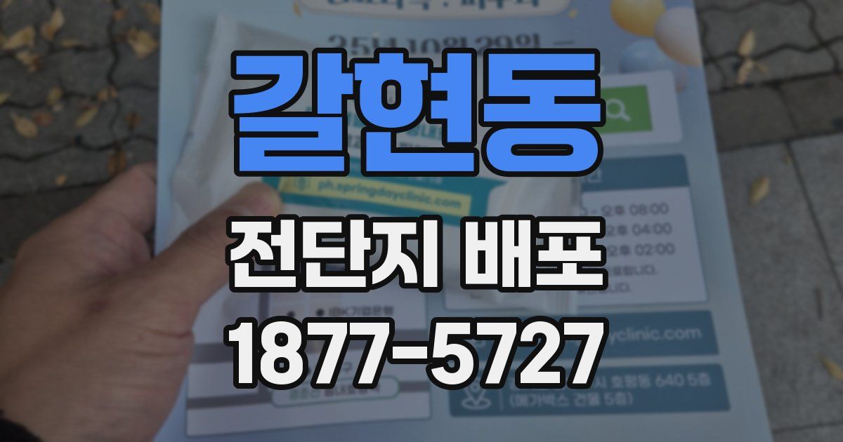 갈현동 전단지 배포