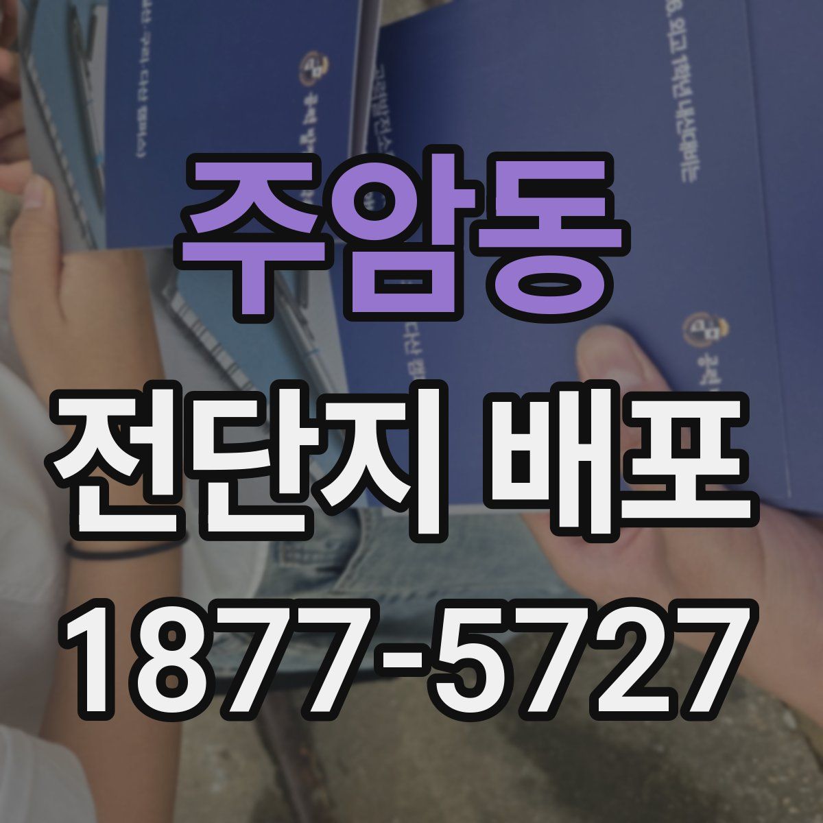 주암동 전단지 배포