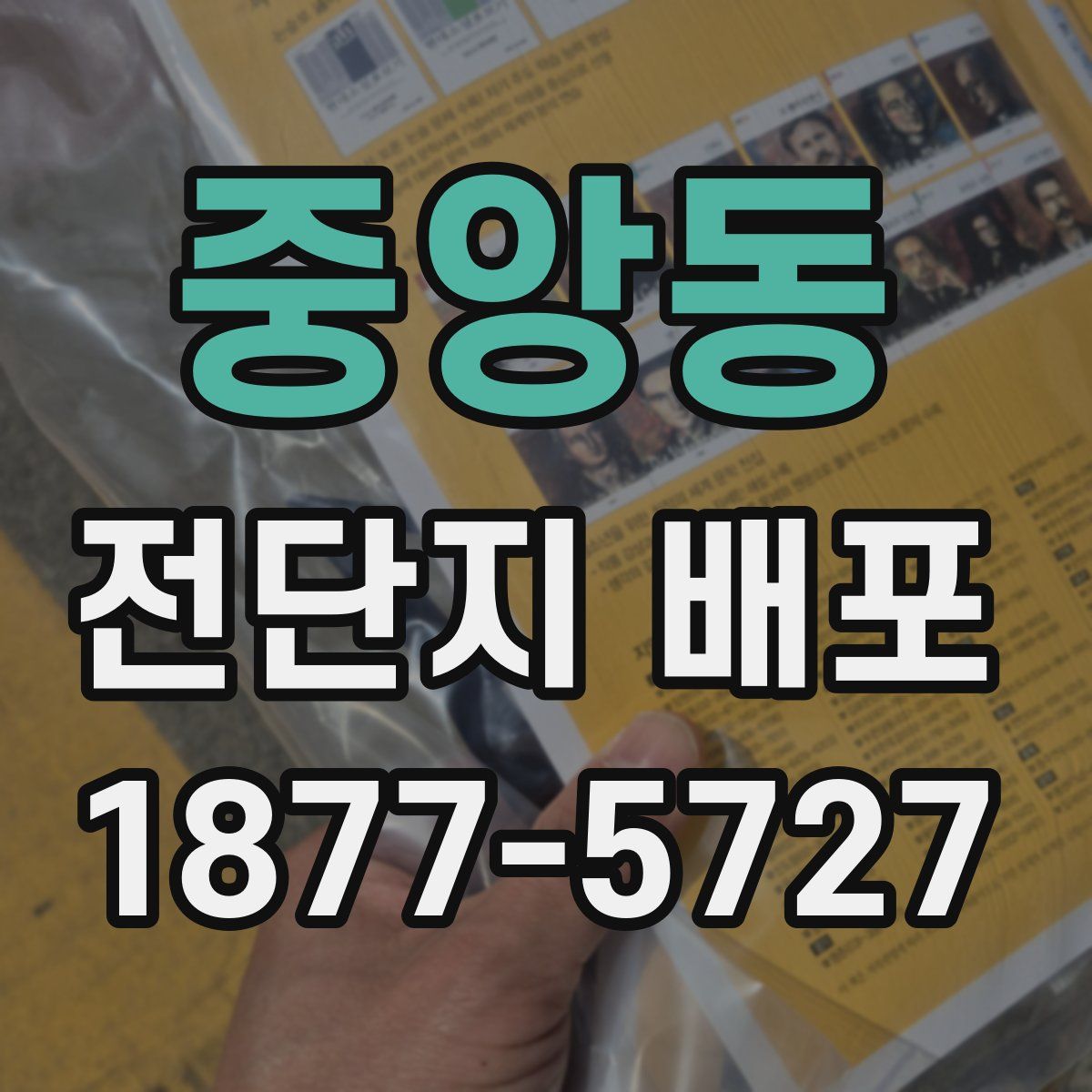 중앙동 전단지 배포
