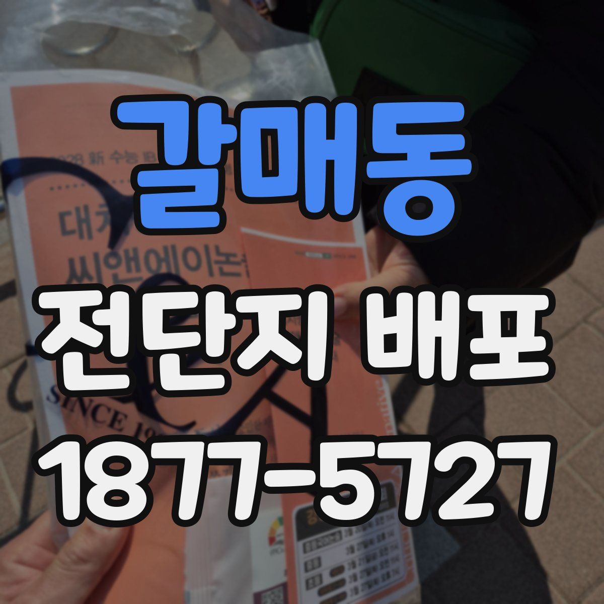 갈매동 전단지 배포