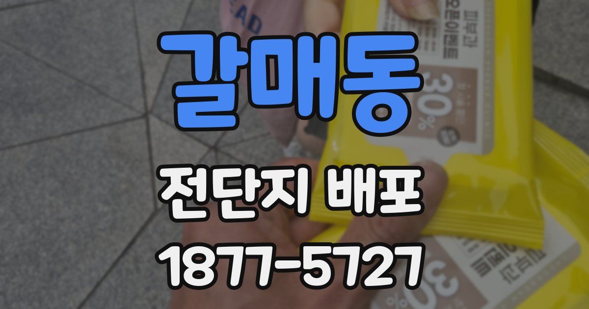 갈매동 전단지 배포