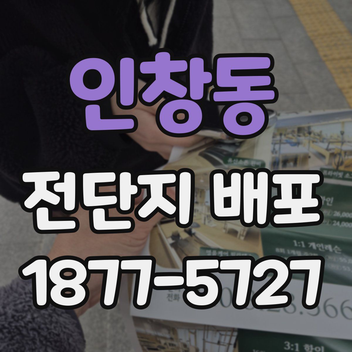 인창동 전단지 배포