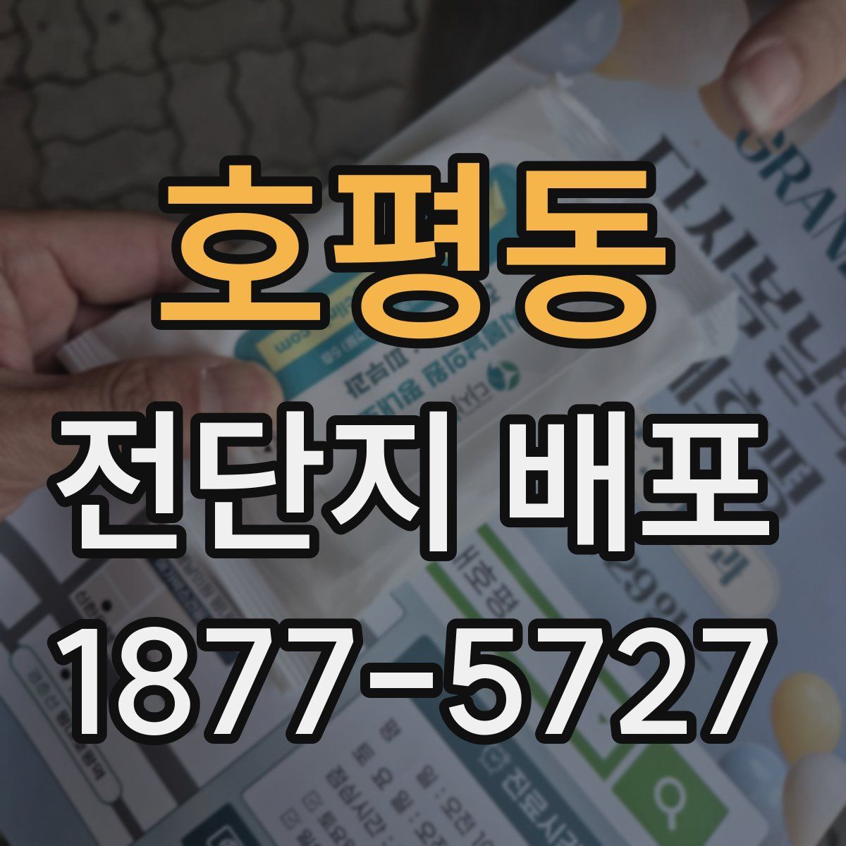 호평동 전단지 배포