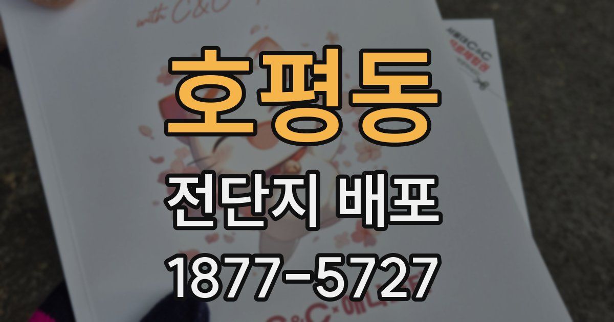 호평동 전단지 배포