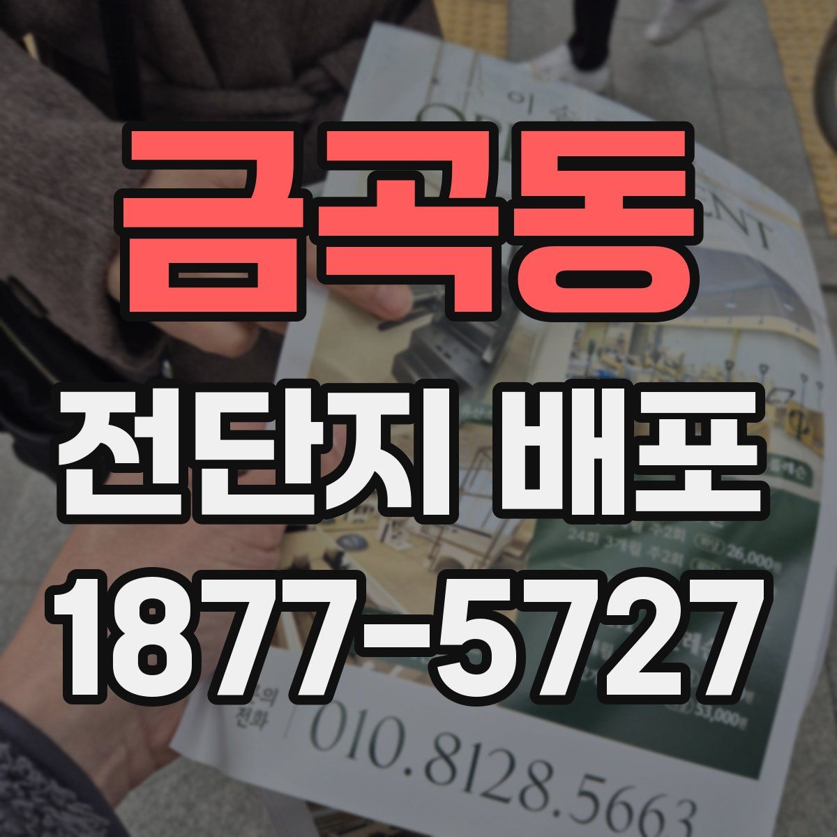 금곡동 전단지 배포