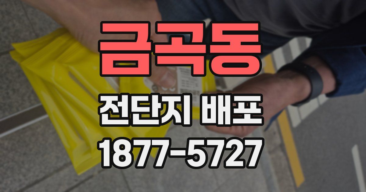 금곡동 전단지 배포