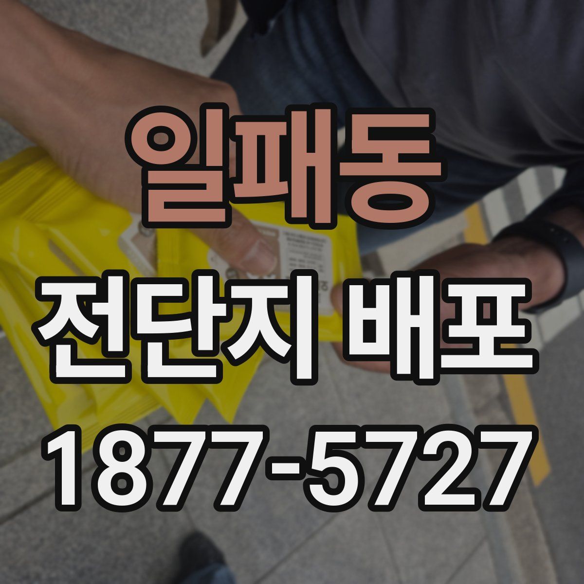일패동 전단지 배포