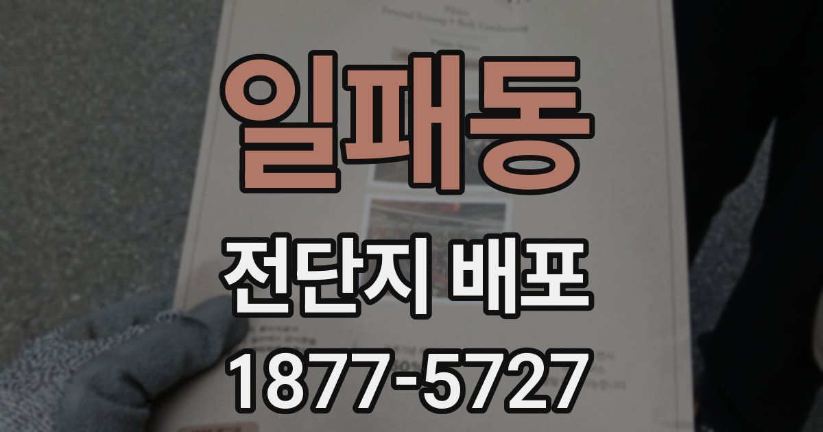 일패동 전단지 배포