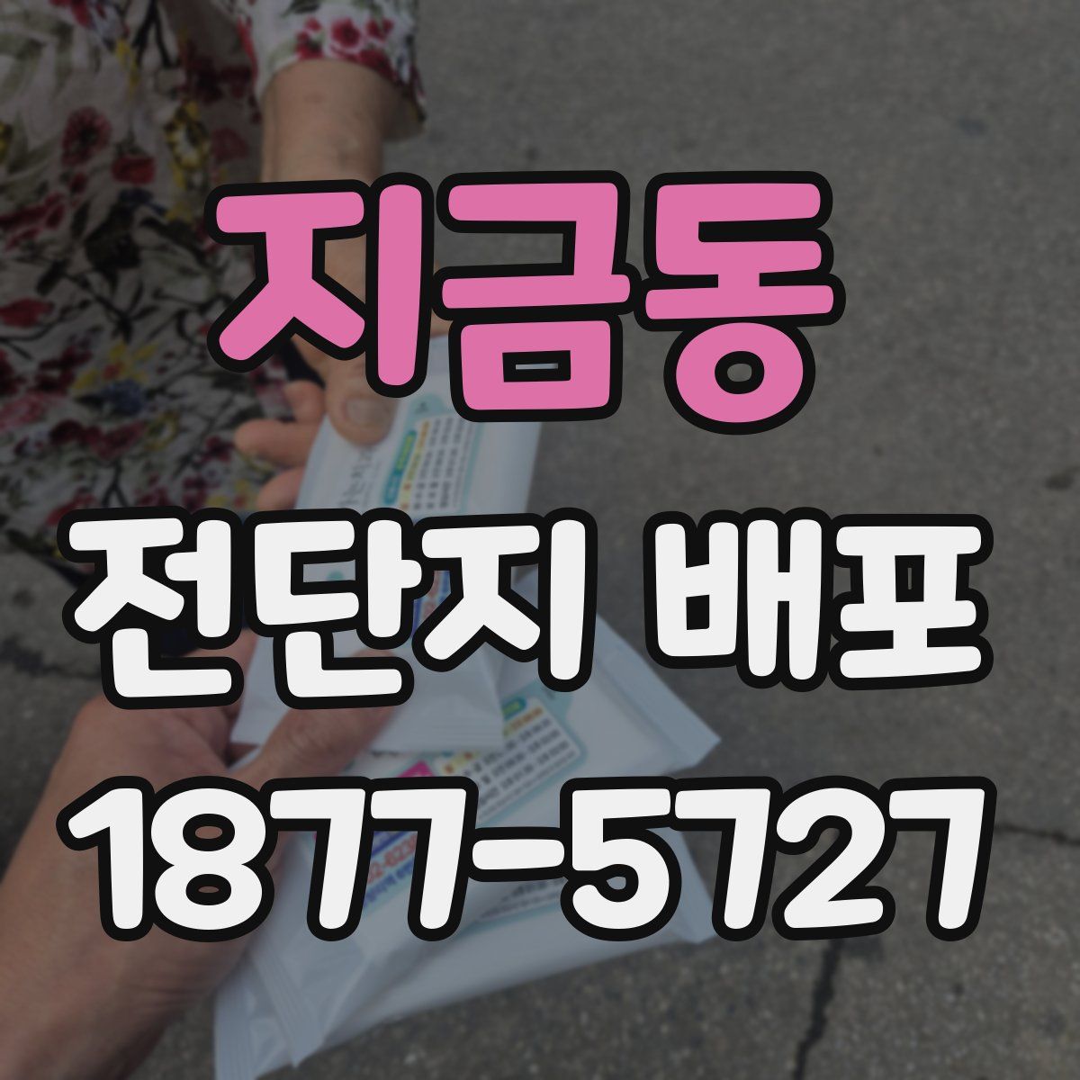 지금동 전단지 배포
