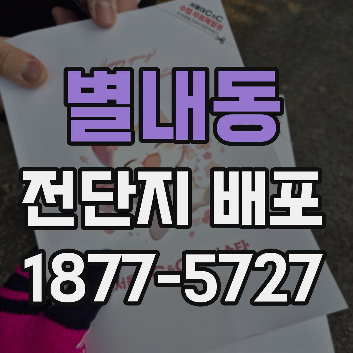 별내동 전단지 배포