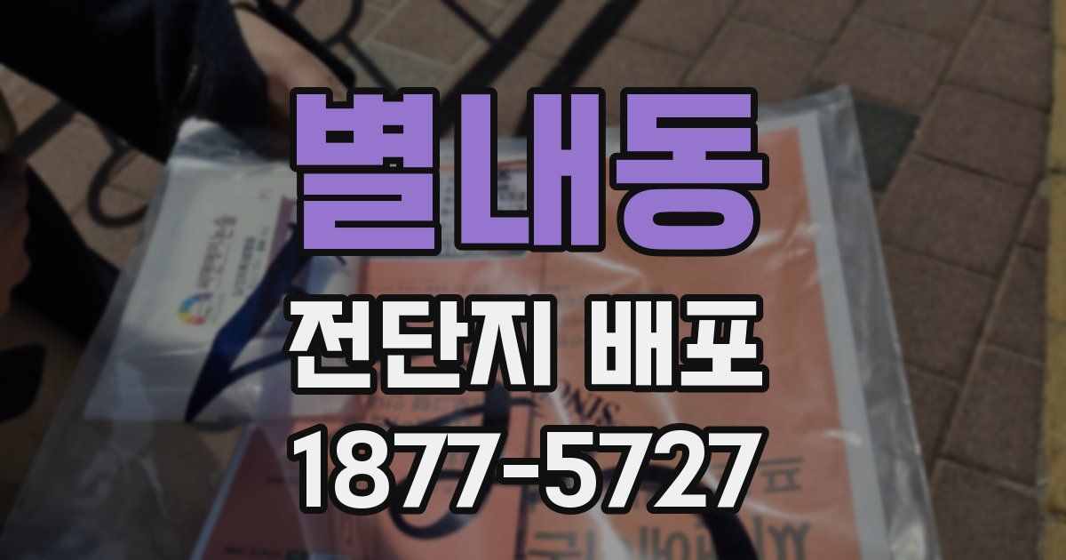 별내동 전단지 배포
