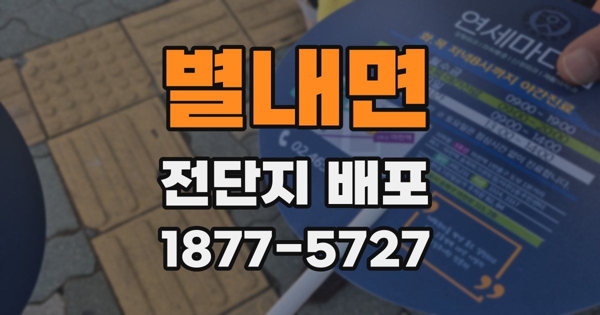 별내면 전단지 배포