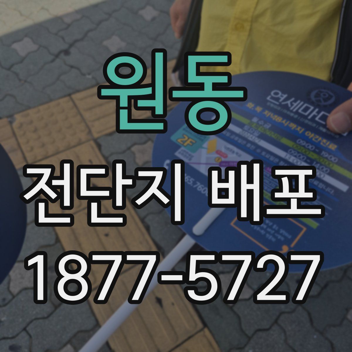 원동 전단지 배포