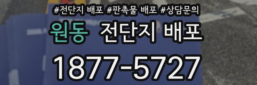 원동 전단지 배포